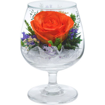 Оранжевая роза в стекле (12 x 8.5 x 8.5 см)