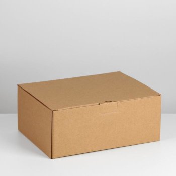 Самосборная крафтовая коробка с закрывающим клапаном (30 х 23 х 12 см)