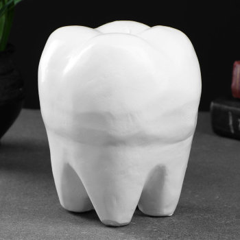 Копилка "Зуб" из гипса (15 см)