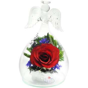 Красная роза в стекле (колба в виде ангела, 13 см)