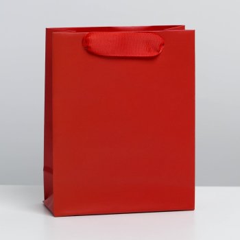 Подарочный пакет красного цвета (15 х 12 см)