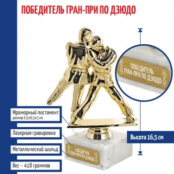 Статуэтка Дзюдо "Победитель гран-при по дзюдо" на мраморном постаменте (16,5 см)