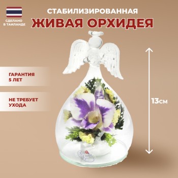 Орхидея в стекле (колба в виде ангела, 13 х 8 х 8 см)