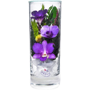 Орхидеи в стекле SLO (16 см)