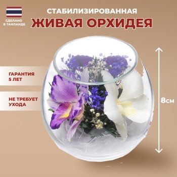 Орхидеи в стекле (8 x 9 x 9см)