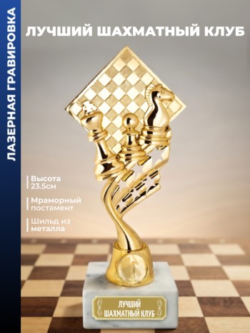Кубок шахматы "Лучший шахматный клуб" (23,5 см)