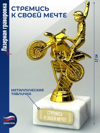 Статуэтка Байкер "Стремись к своей мечте" (17 см)