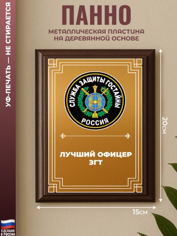 Настенный диплом "Лучший офицер згт"