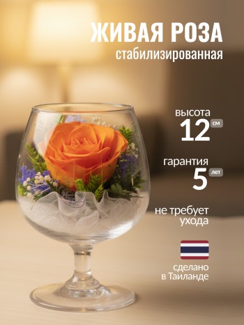 Оранжевая роза в стекле (12 x 8,5 x 8,5 см)