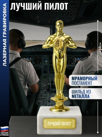 Статуэтка Фигура "Лучший пилот" (18 см)
