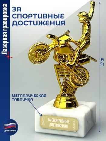 Статуэтка Байкер "За спортивные достижения" (17 см)