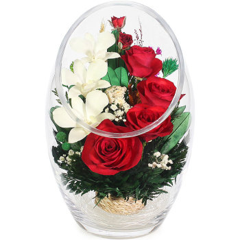 Красные розы и белые орхидеи в стекле. (22 x 14 x 14 см)