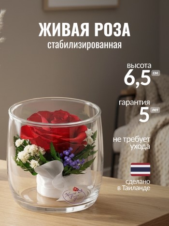 Красная роза в стекле (6,5 х 6,5 х 6,5 см)