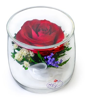 Красная роза в стекле SSR (6,5 х 6,5 х 6,5 см)