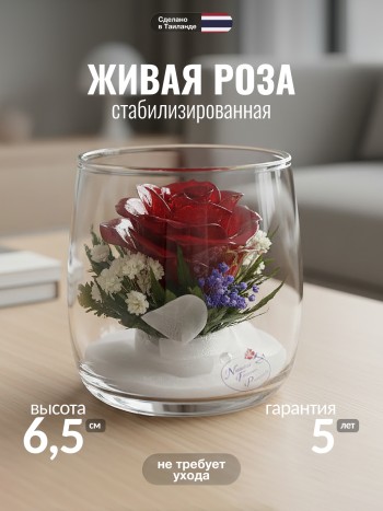 Красная роза в стекле (6,5 х 6,5 х 6,5 см)