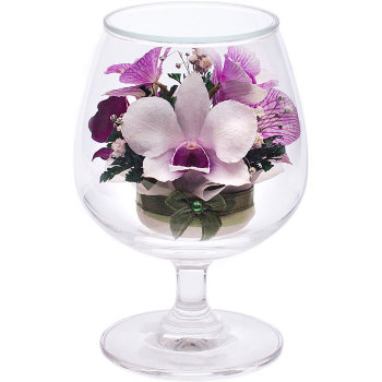 Орхидеи в стекле GSO (12 x 8.5 x 8.5 см)