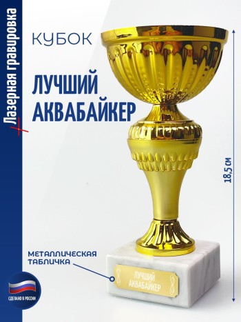 Кубок "Лучший аквабайкер" (18,4 см)