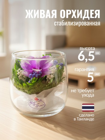 Орхидея в стекле (6,5 х 6,5 х 6,5 см)