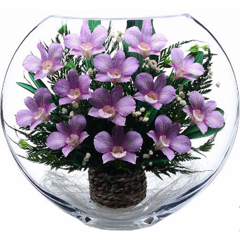 Орхидеи в стекле ELO-01 (25,5 см)