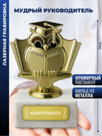 Статуэтка Учёная сова "Мудрый руководитель"