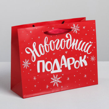 Подарочный пакет "Новогодний подарок" (23 х 18 см)