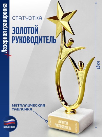 Статуэтка "Золотой руководитель" со звездой (18 см)