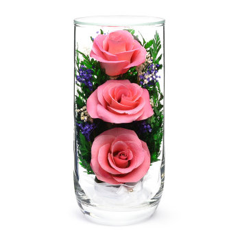 Розовые розы в стекле CSRp (17 х 7,5 х 7,5 см)