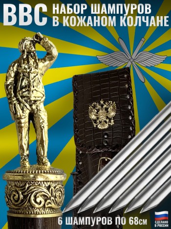 Набор из шести шампуров "Лётчик ВВС" в кожаном колчане