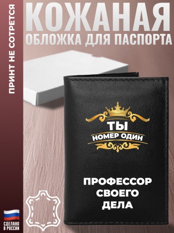 Обложка на паспорт "Профессор своего дела"