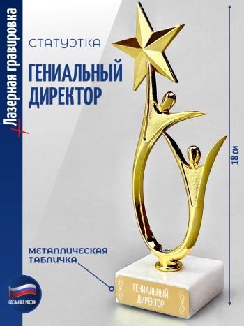Статуэтка "Гениальный директор" со звездой (18 см)