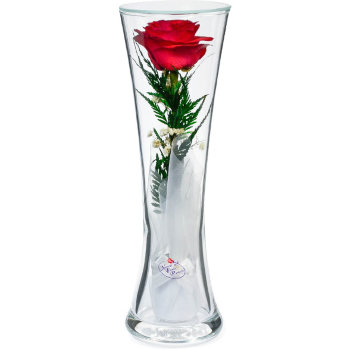 Роза в стекле CuHR (22*7*7 см)