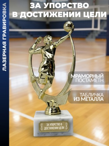 Статуэтка Волейбол "За упорство в достижении цели"