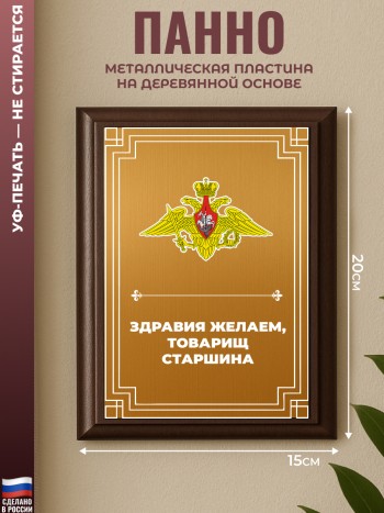 Настенный диплом "Здравия желаем, товарищ старшина" ВС РФ