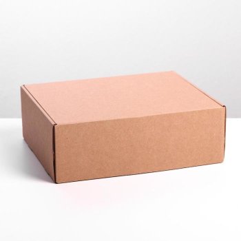 Самосборная крафтовая коробка (27 х 21 х 9 см)