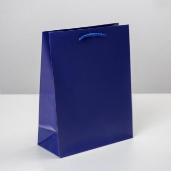 Подарочный пакет "Blue" (23 х 18 х 8 см)