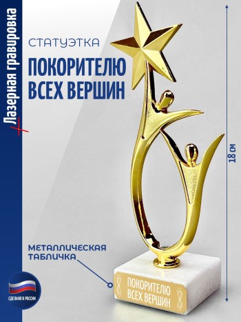 Статуэтка "Покорителю всех вершин" со звездой (18 см)