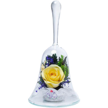 Желтая роза в стекле (в колбе в виде колокольчика)  (14 х 8 х 8 см)