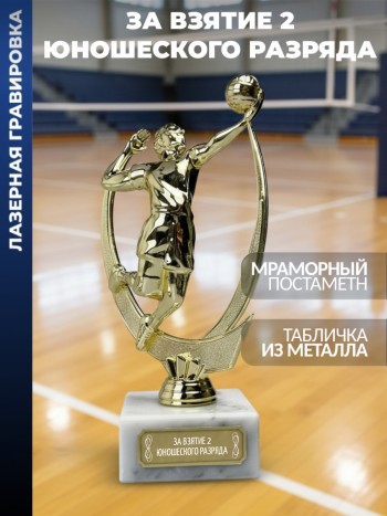 Статуэтка Волейбол "За взятие 2 юношеского разряда"