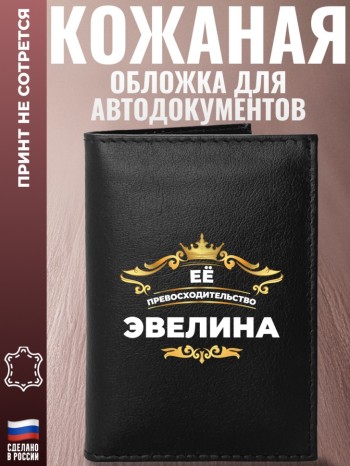 Обложка для автодокументов "Её превосходительство Эвелина"