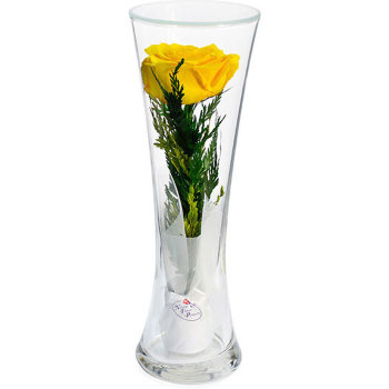 Желтая роза в стекле CuHRy (22*7*7 см)