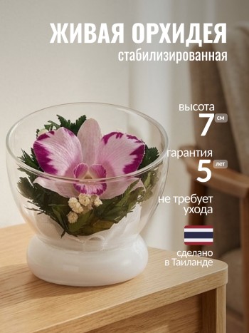 Орхидея в стекле (7 x 8,5 x 8,5 см)