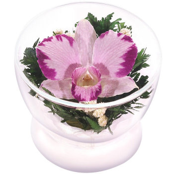 Орхидея в стекле  (7 x 8.5 x 8.5 см)