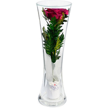 Роза в стекле CuHRd (22*7*7 см)