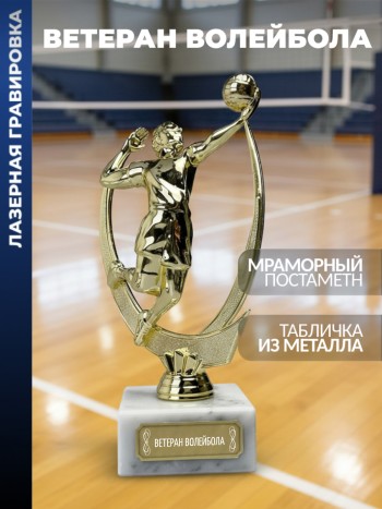 Статуэтка Волейбол "Ветеран волейбола"