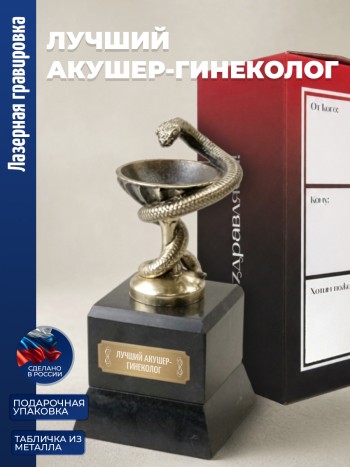 Кубок Врачу "Лучший акушер-гинеколог" бронза, змеевик