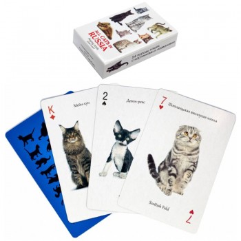 Игральные карты "Все кошки в России" (54 карты)