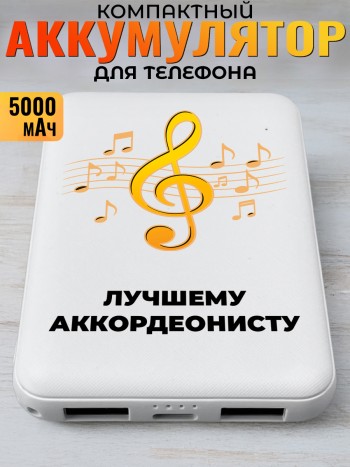 Повербанк "Лучшему аккордеонисту" Музыканту