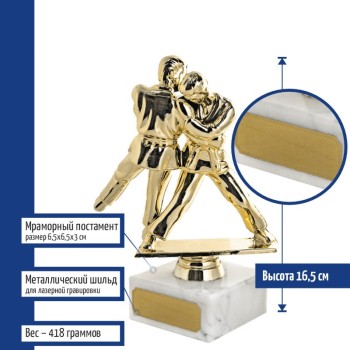 Статуэтка Дзюдо с шильдиком для нанесения гравировки  (16,5 см)