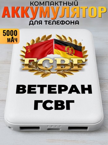 Повербанк "Ветеран гсвг"