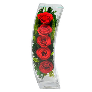 Красные розы в стекле. (30 x 10.5 x 10.5 см)